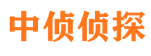 白玉调查公司